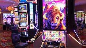 365 bet 365 bet
